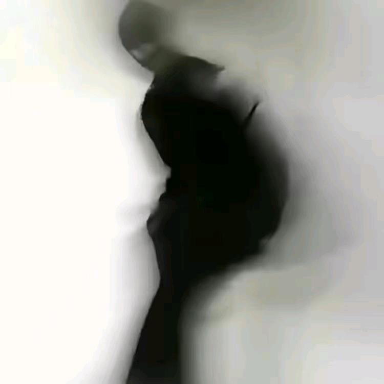 .L..