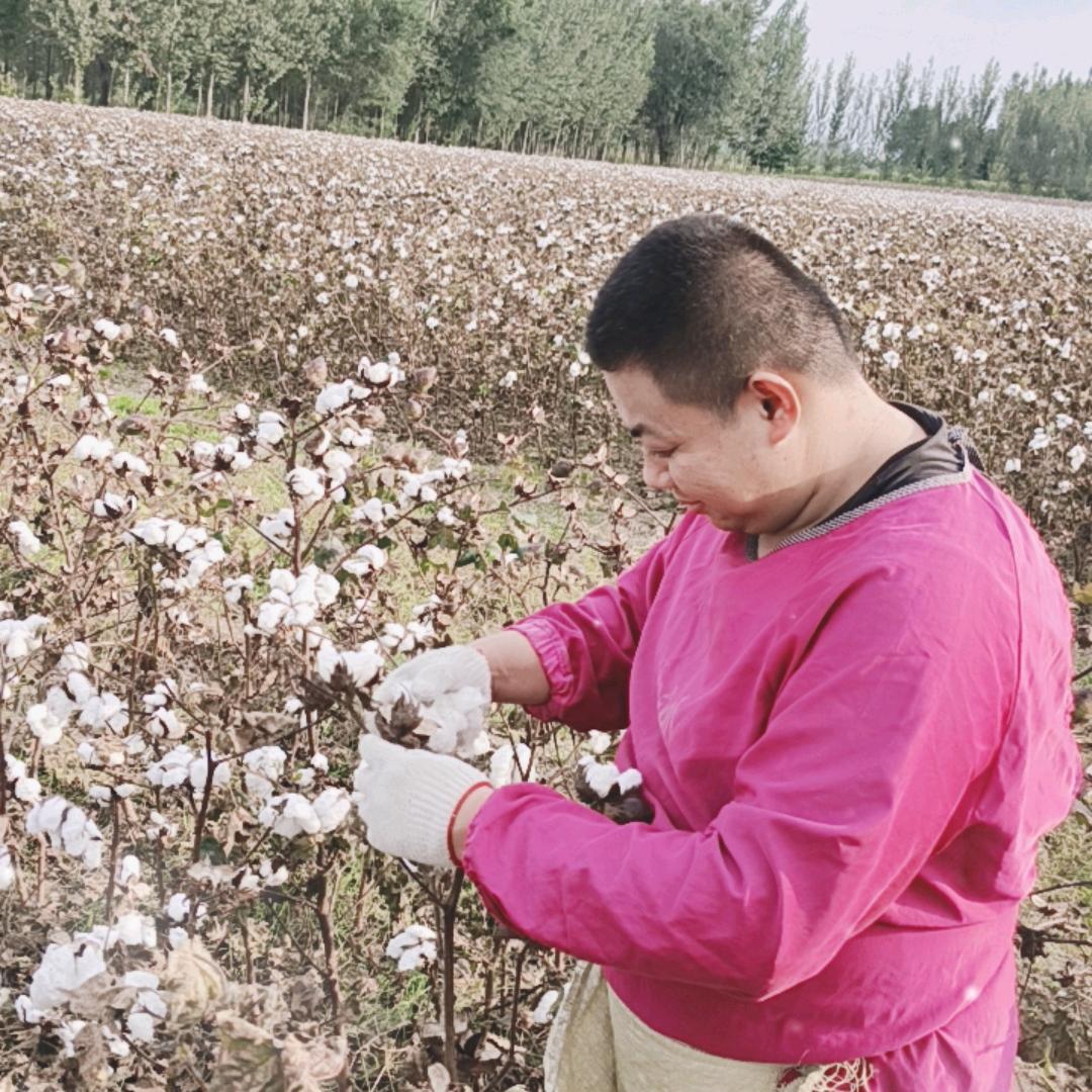 棉花农场主