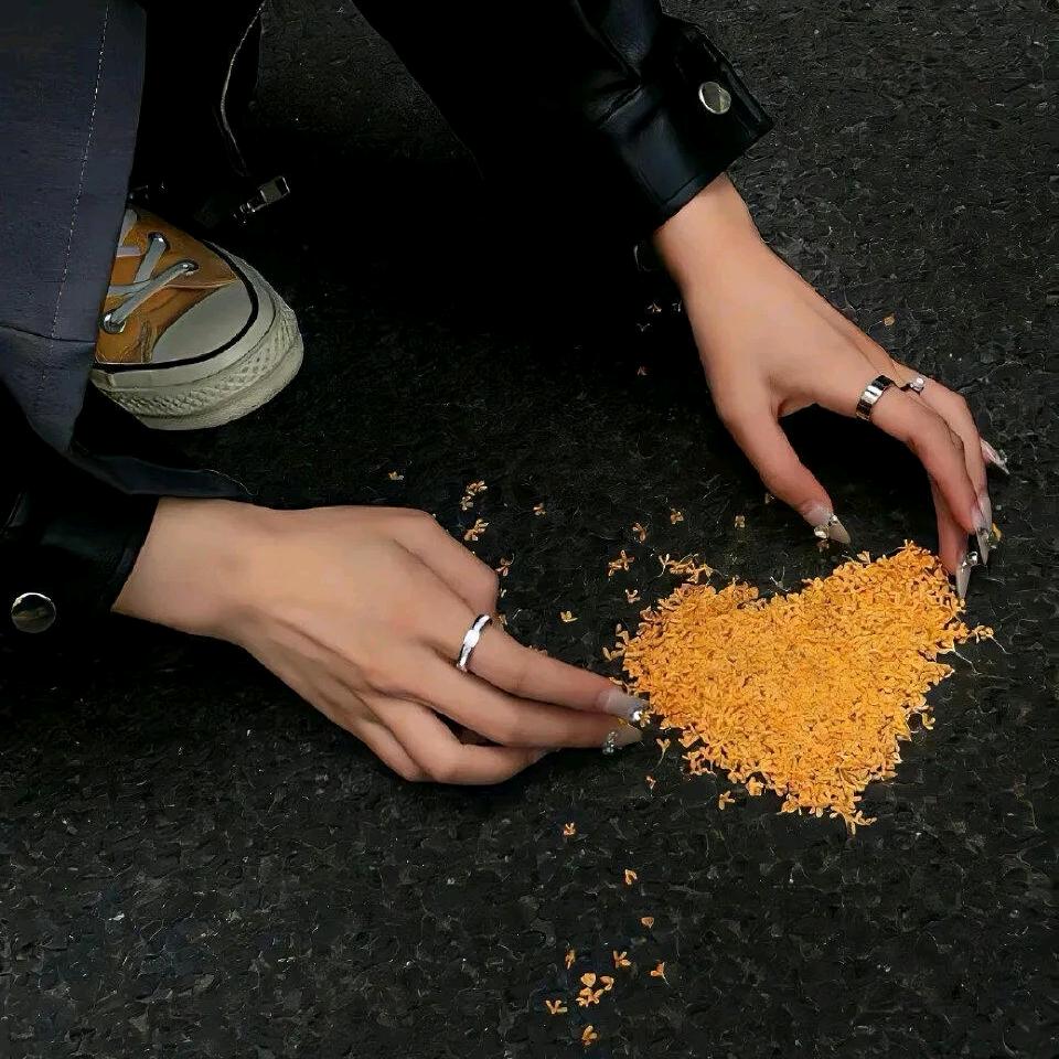 赢赢