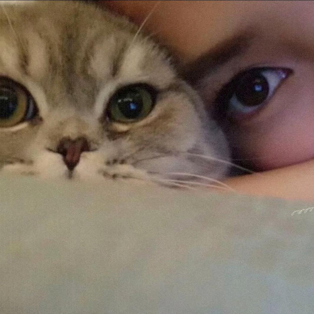 X（见过余景天版🍀