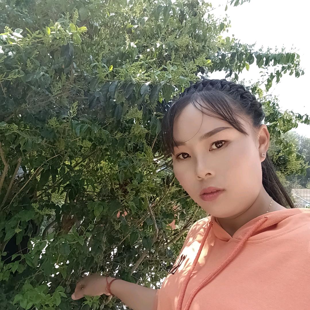 找不到归属的燕子，张