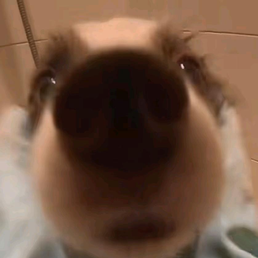 🛵......ᴅᴜᴅᴜ！¹¹⁷