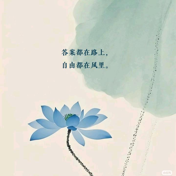 霜晨月