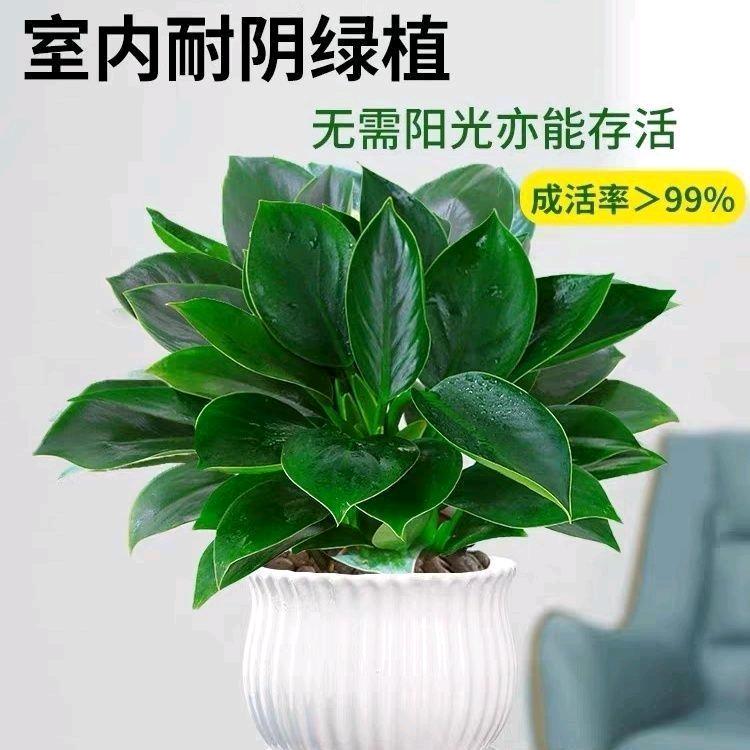 恒鑫花坊
