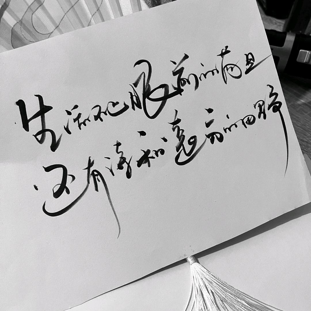 ❤陈先森~荒野钓徒