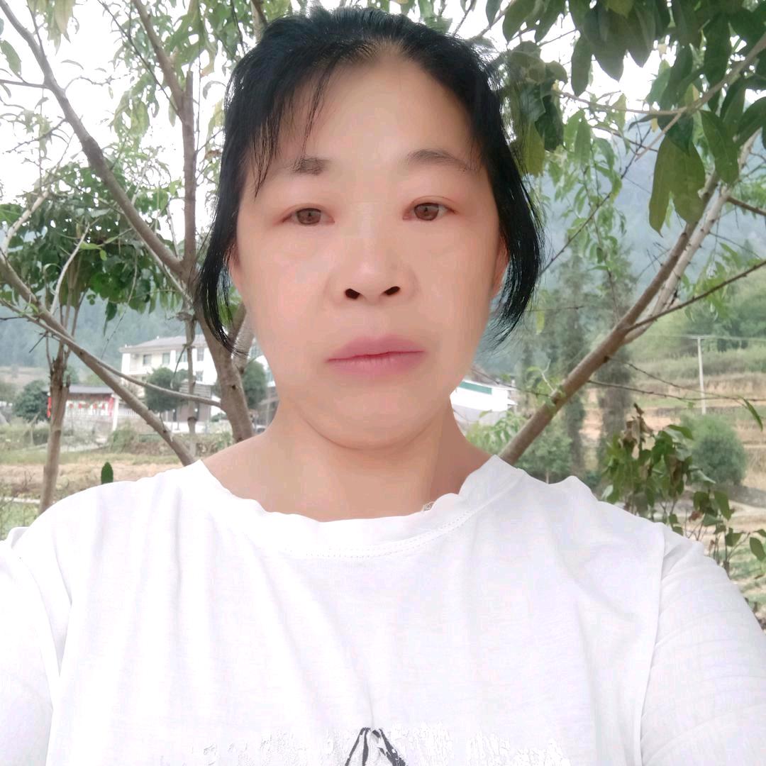 陈维奉