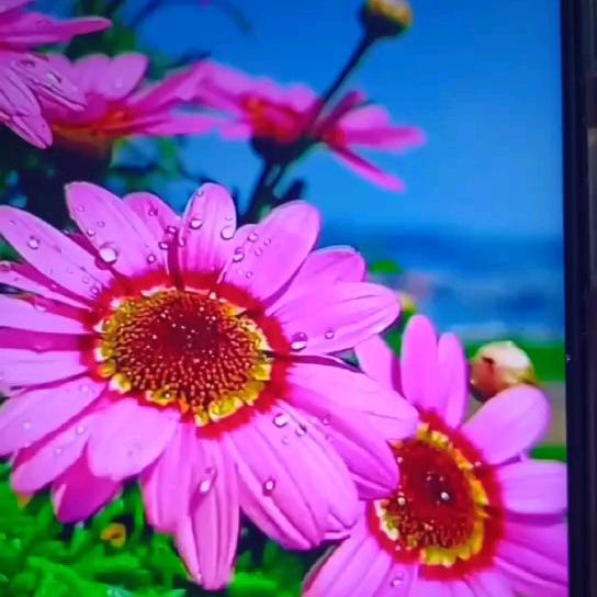 时间的流逝