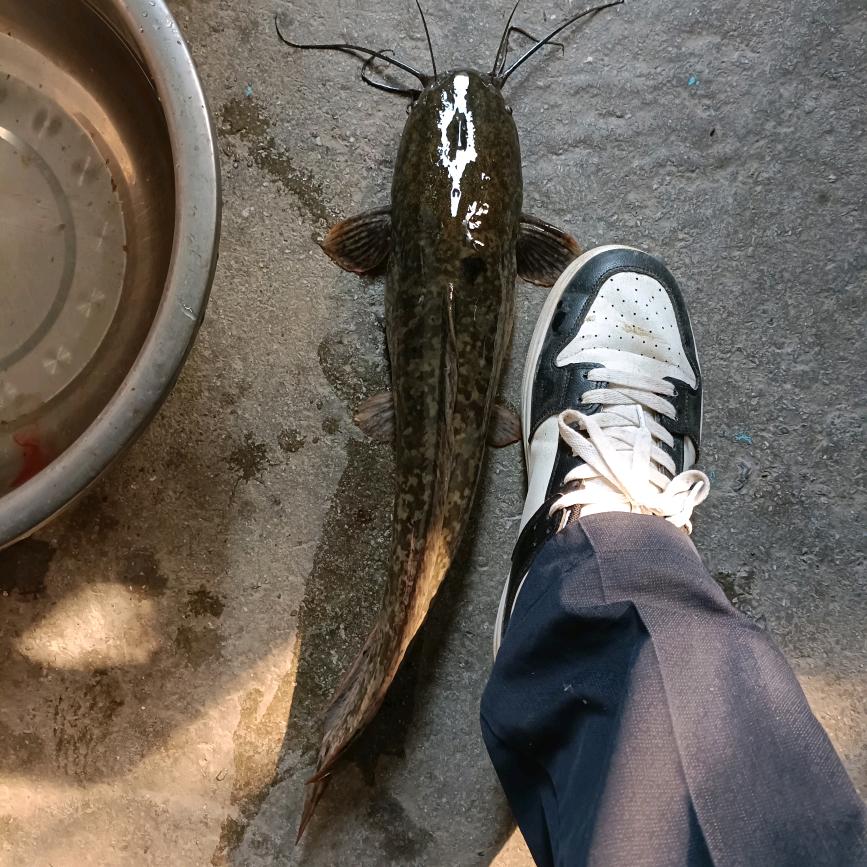 覃