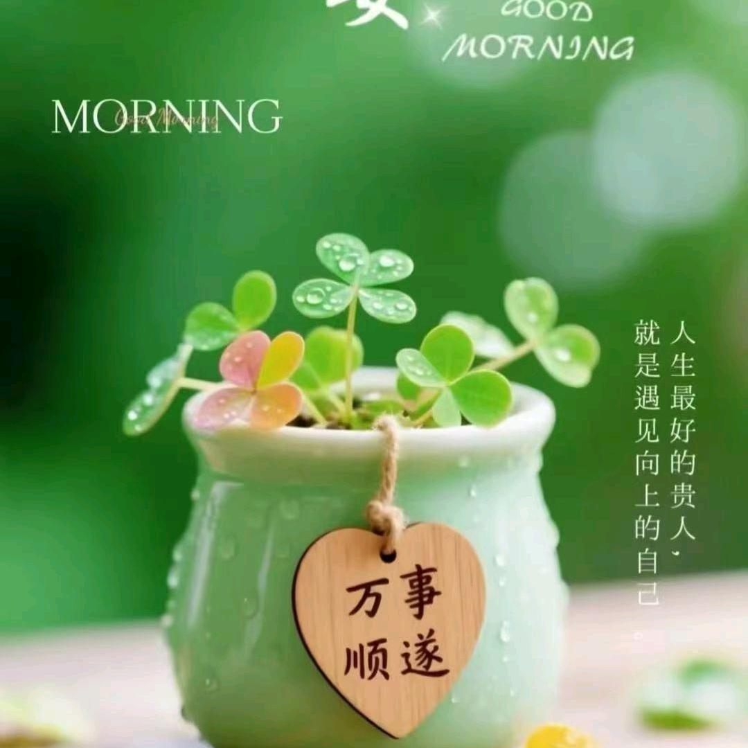 美好的晴天