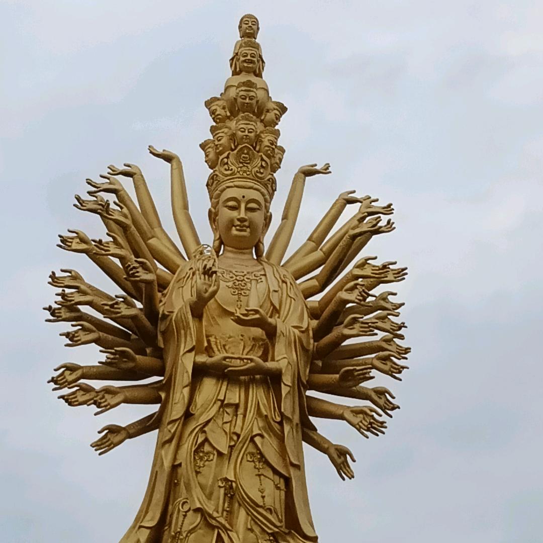 美好的未来😝😝