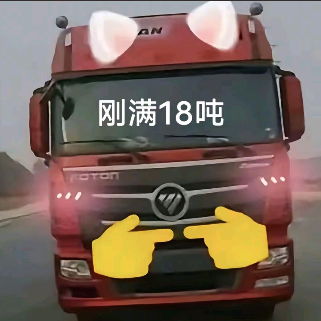 齐齐怪怪