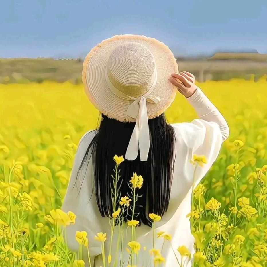 带刺的仙人掌。