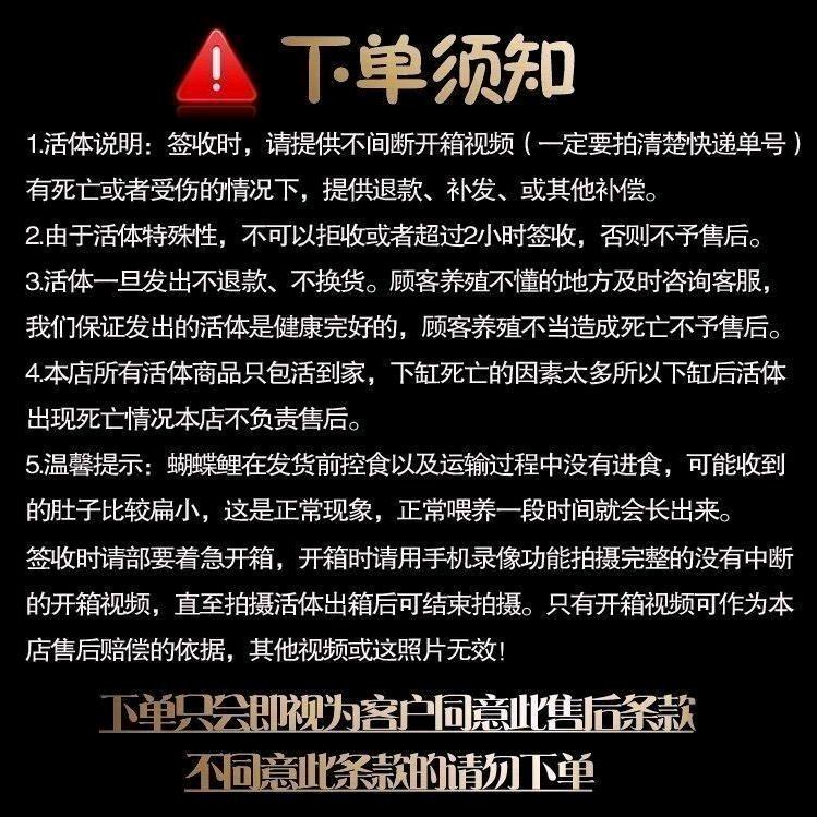 鱼🐟(つ°ω°)つ🐟