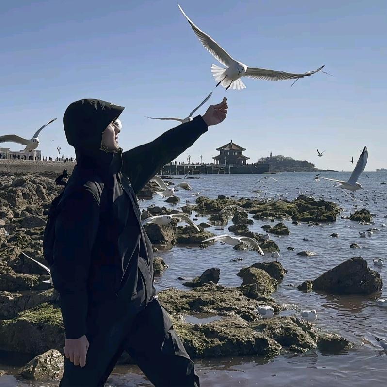 ZZ（少年阿闯）