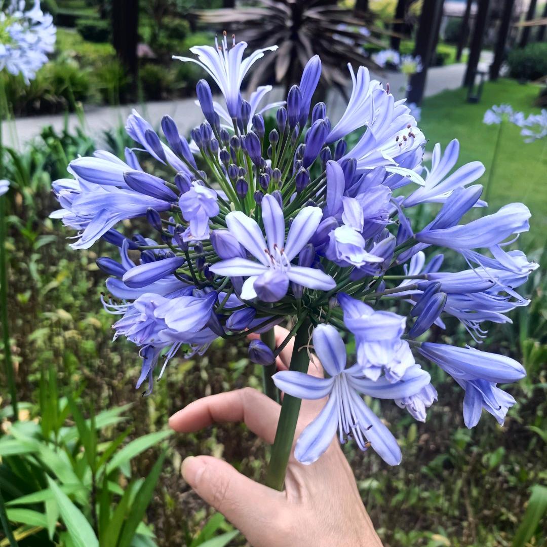 ꧁꫞꯭往事归零💞 ꧔ꦿ꧂