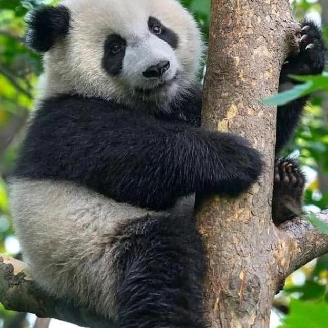 淮安高价回收集装箱活动板房