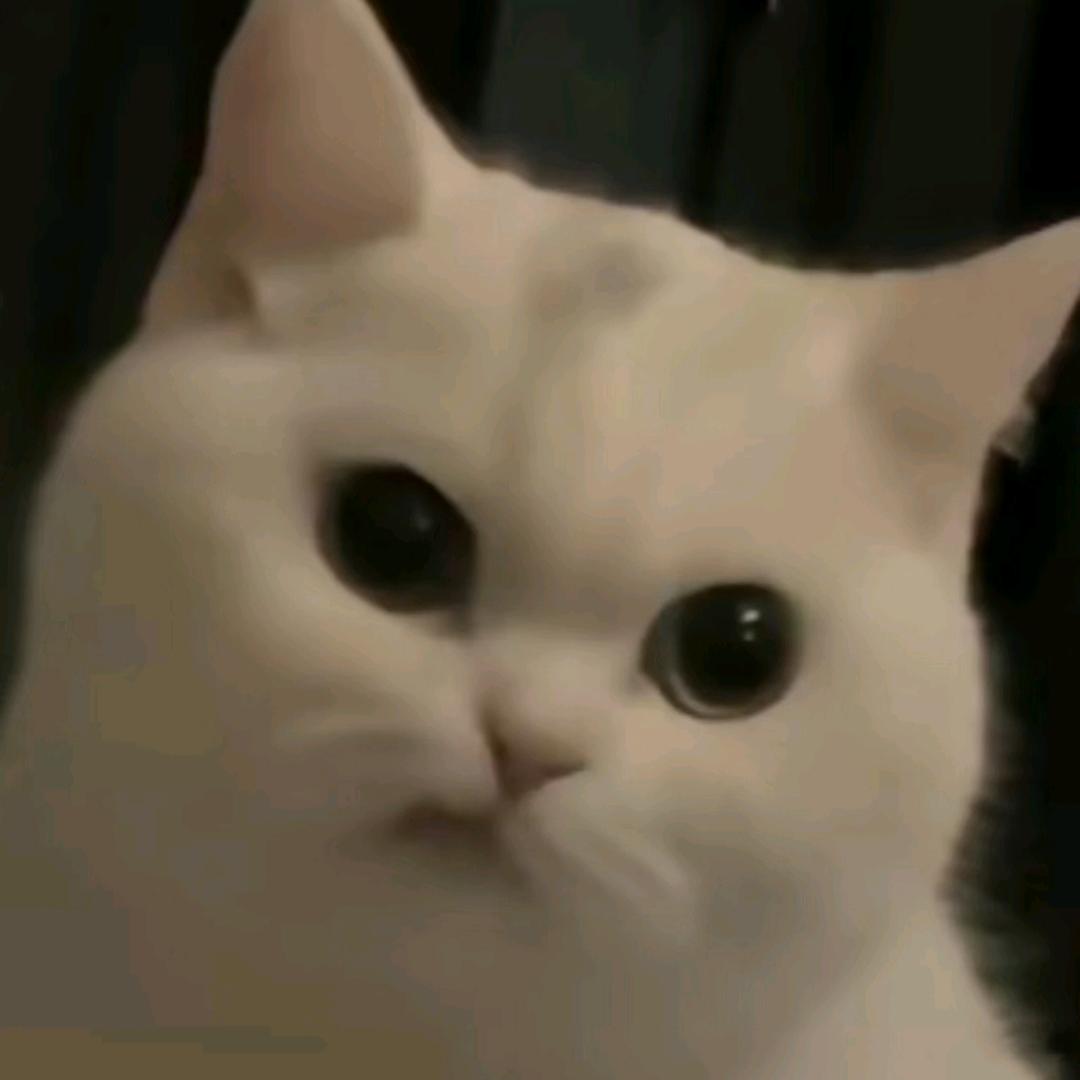 耳东木西
