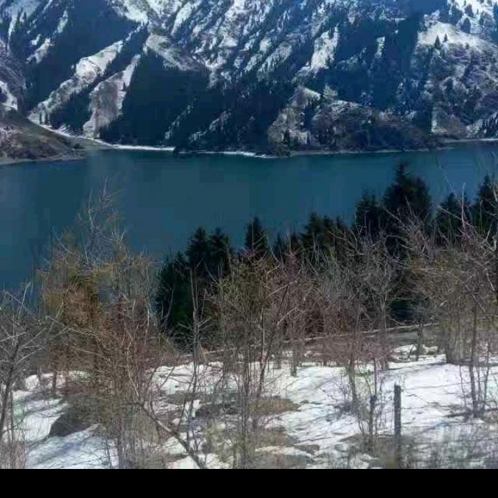 红心伟人