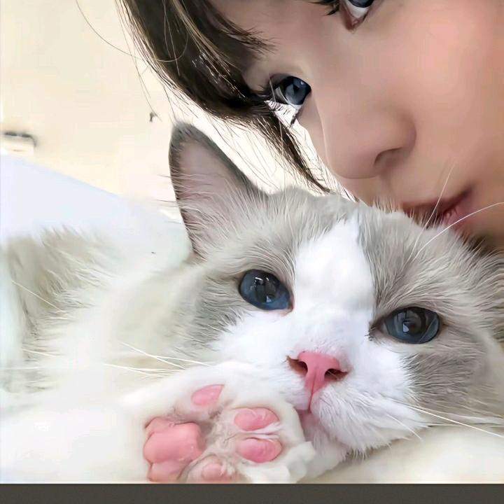 叮当电竞女陪15/h