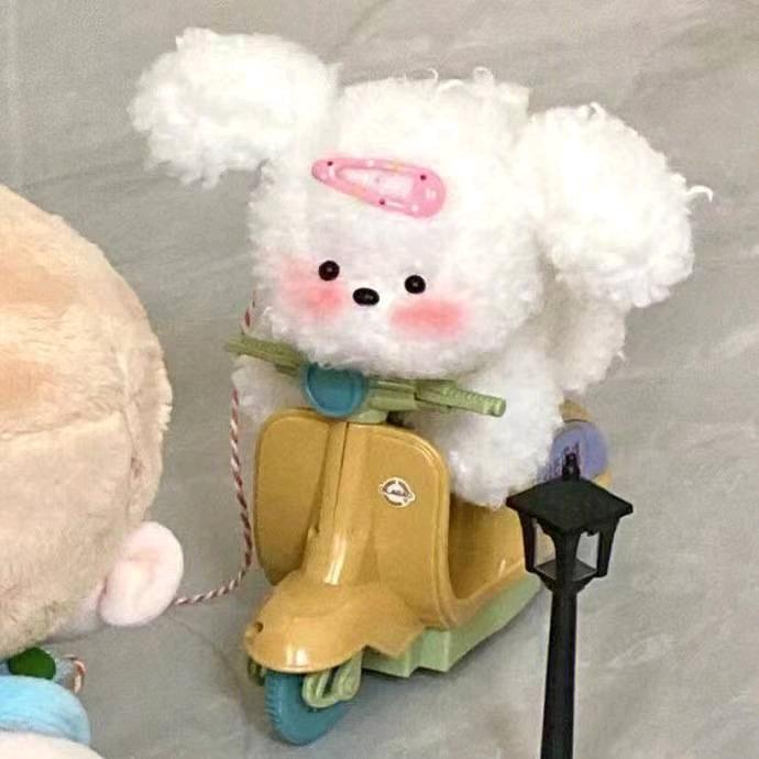 张鱼小丸子