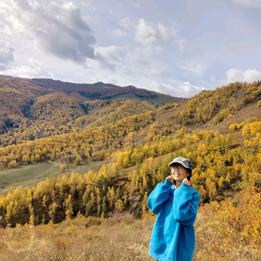全新的爱恋