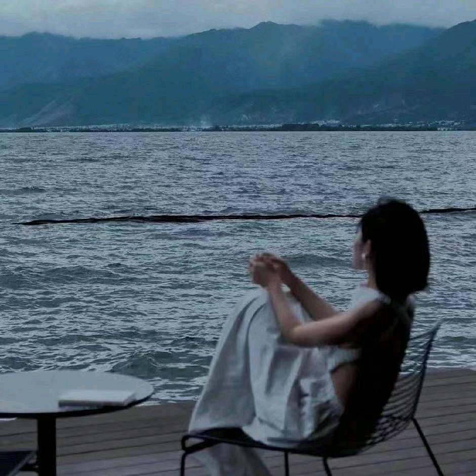 蜜蜂买卖车（大侠）