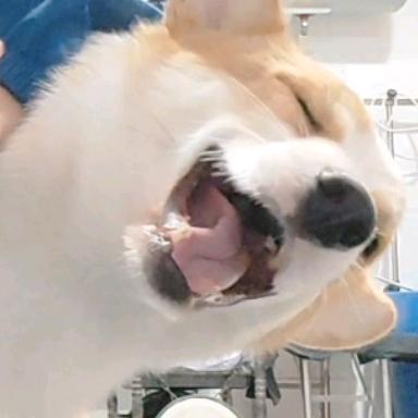 非奸即盗九点多
