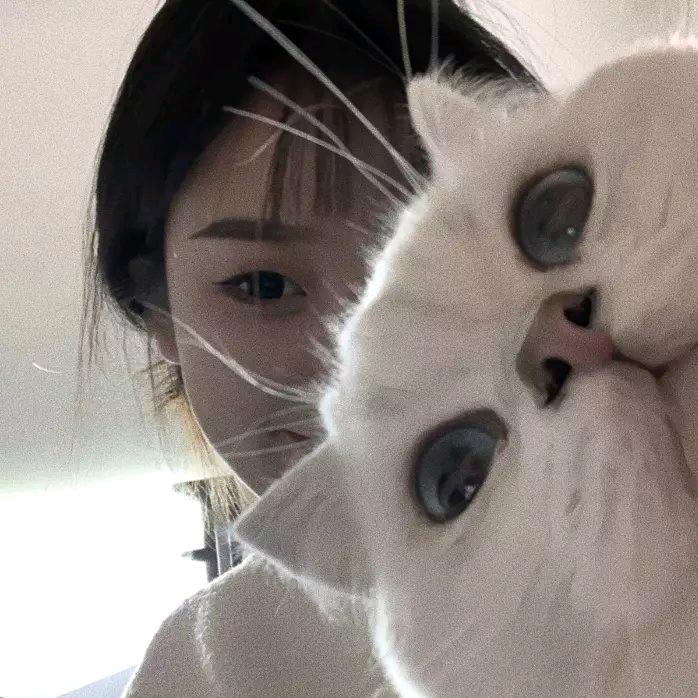 失眠豆.