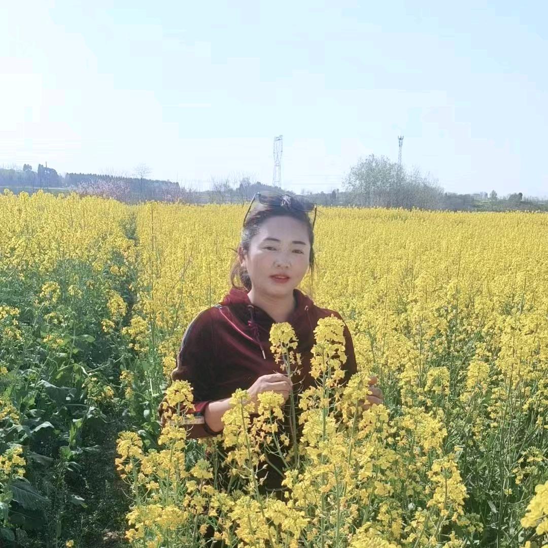 凤
