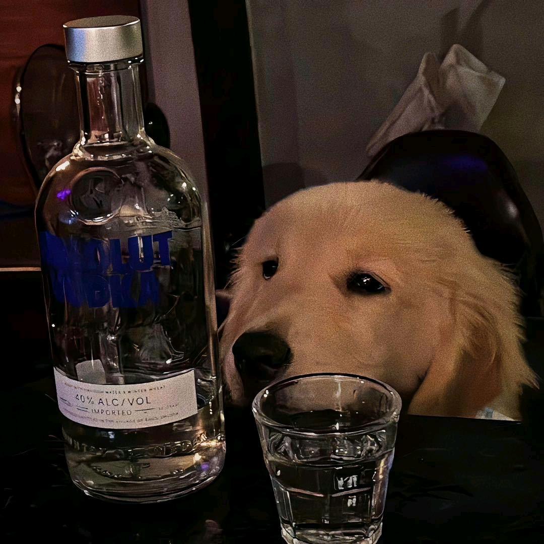 啊伦