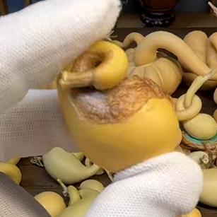 一柱