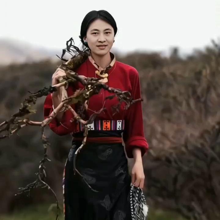 小拉链