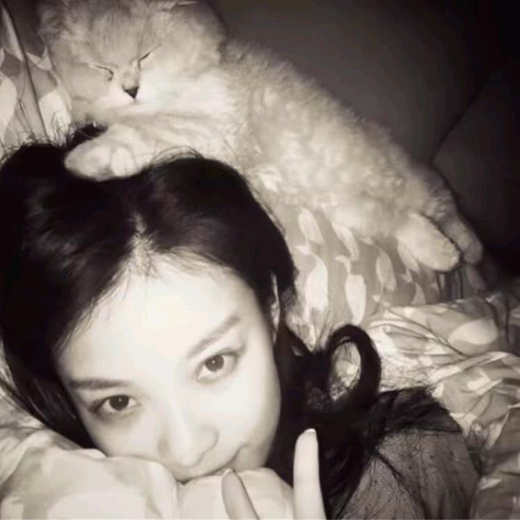 除了是处一无是处