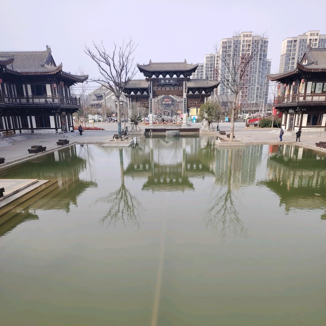牵着蚂蚁去散步