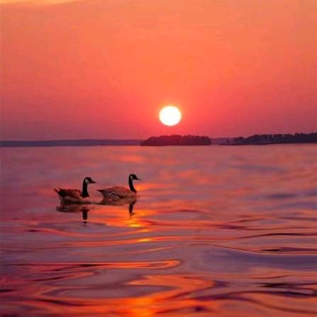 最美的夕阳