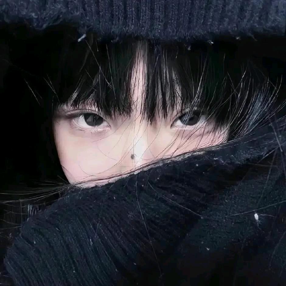 藤井树