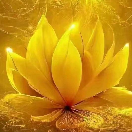 笑看风云🌻