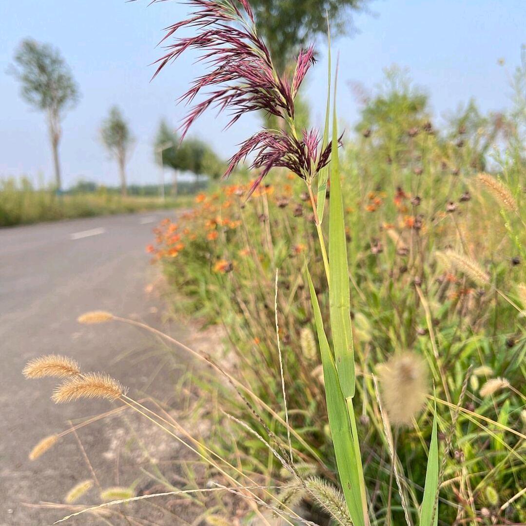 心若在！梦就在！