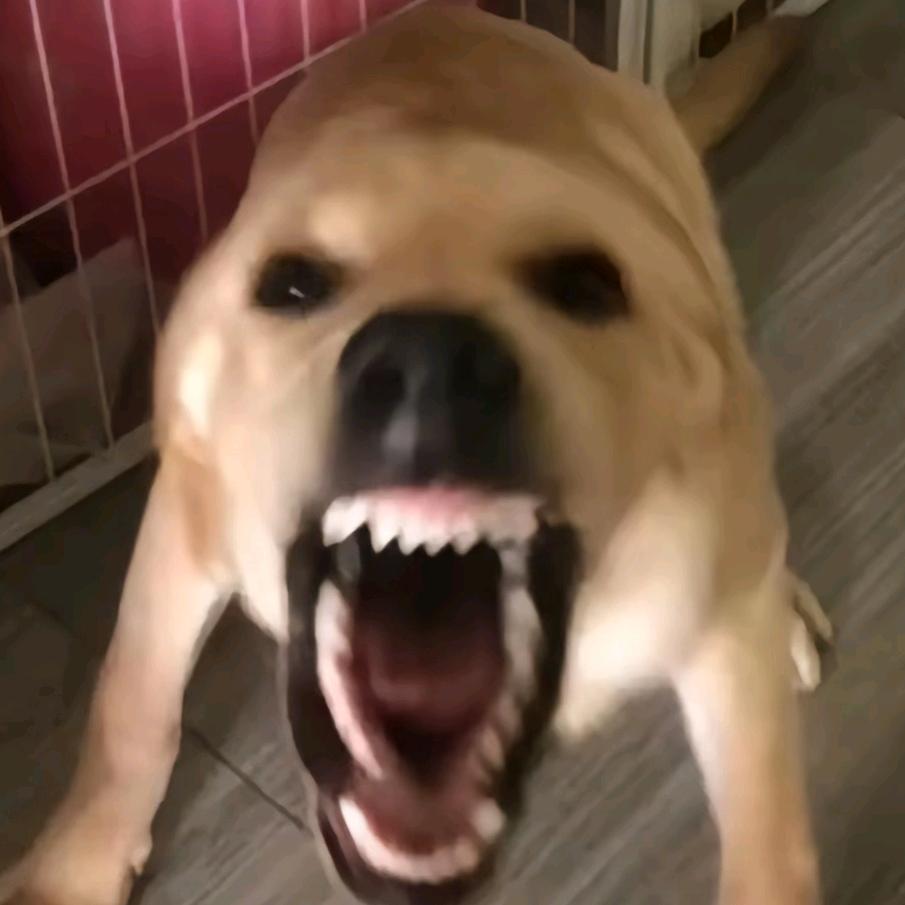 策