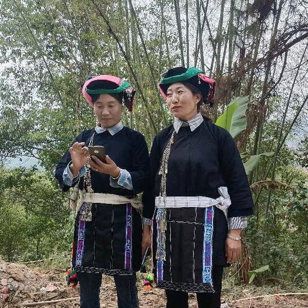 岁月静好🌸