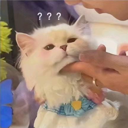 莓烦恼