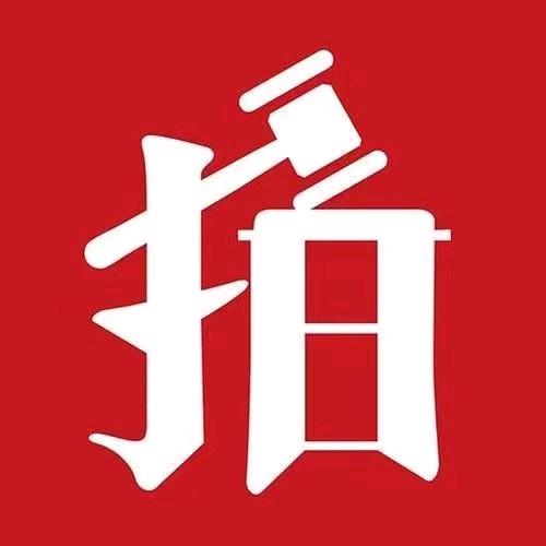 颍上法拍咨询