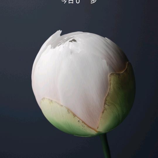 忘忧草