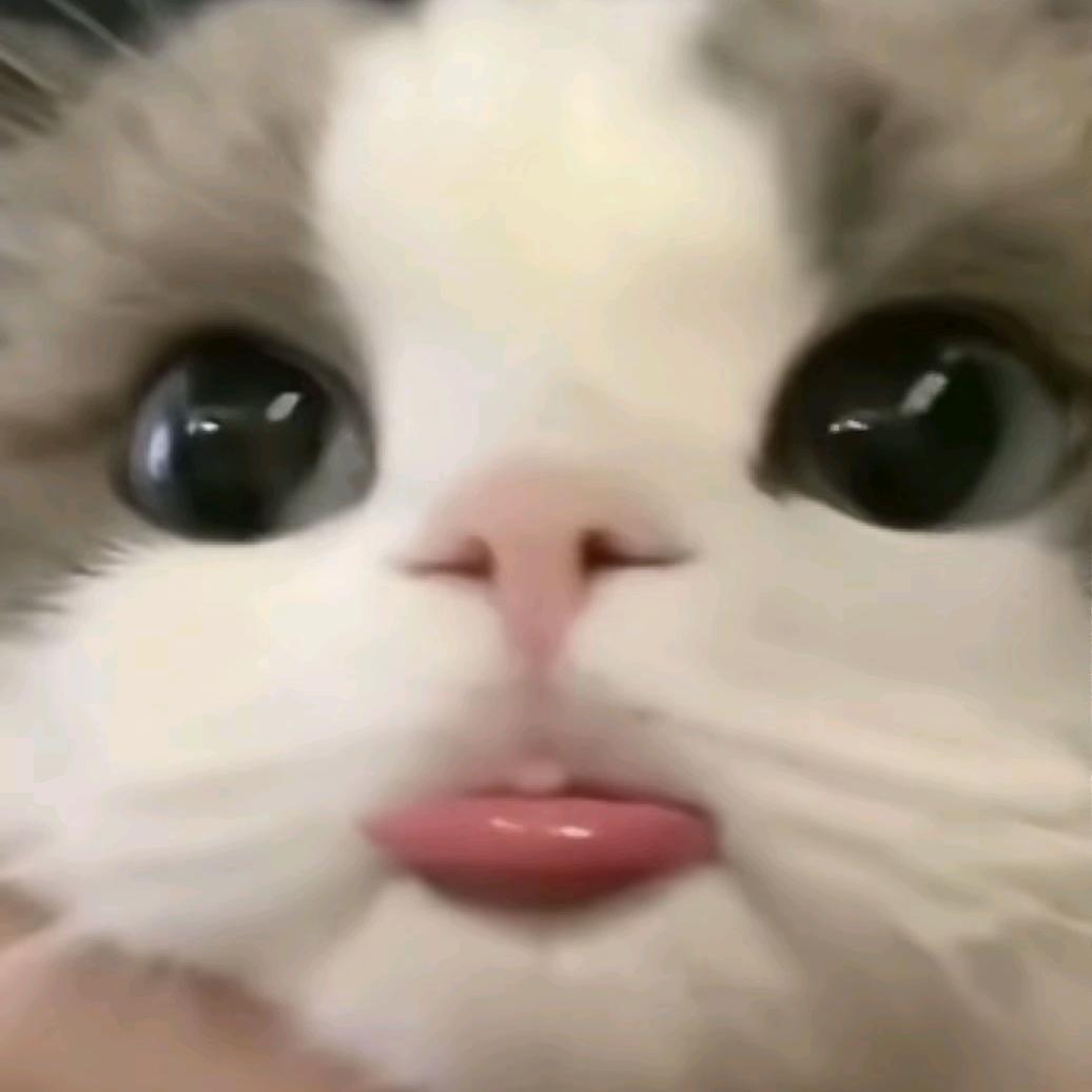 ღ晚安້໌࿐