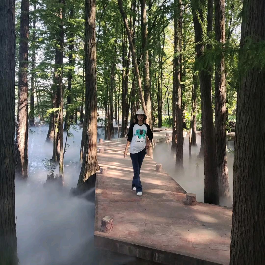 🍀四叶草菩提🍀