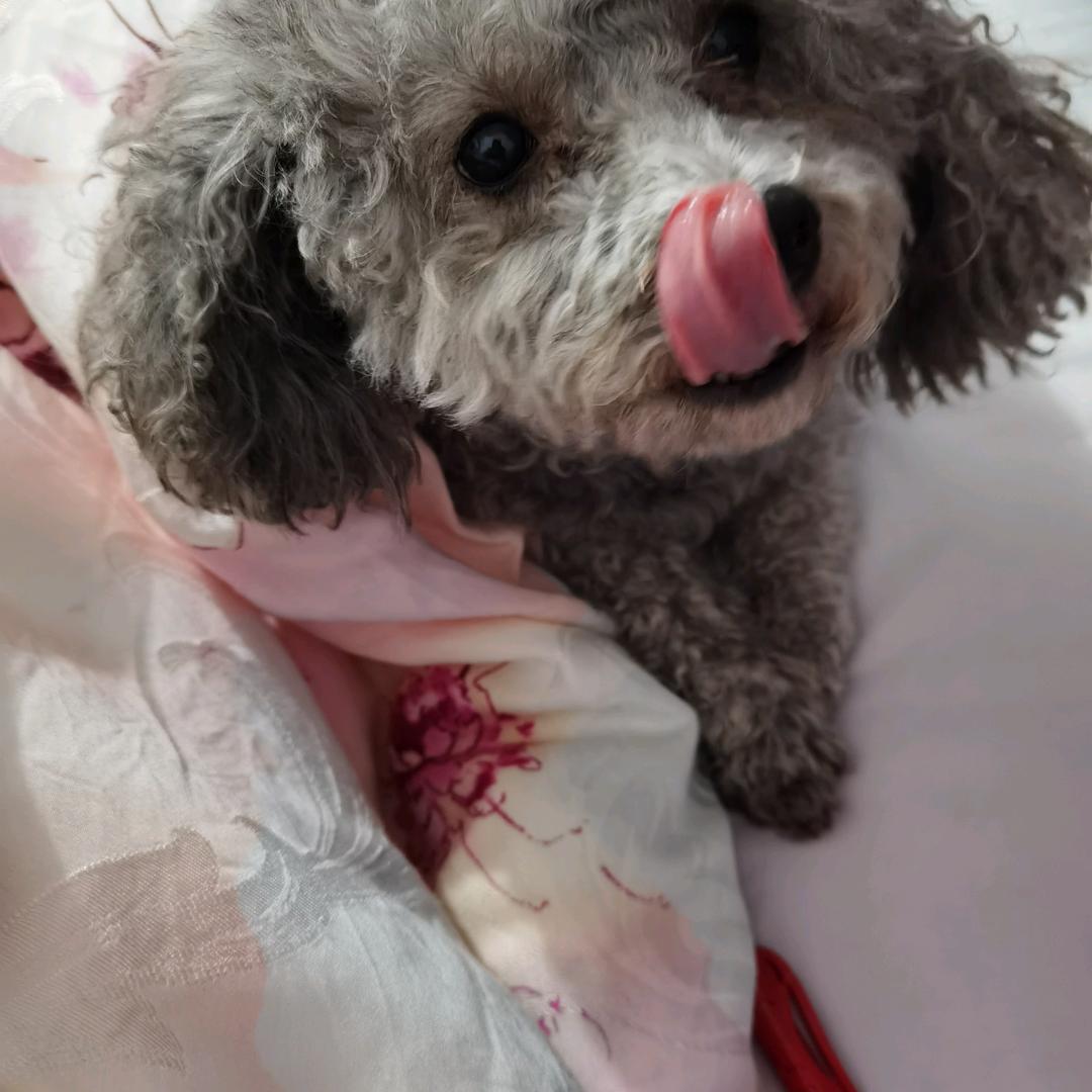 🌸🌸想换哈网名🌸🌸