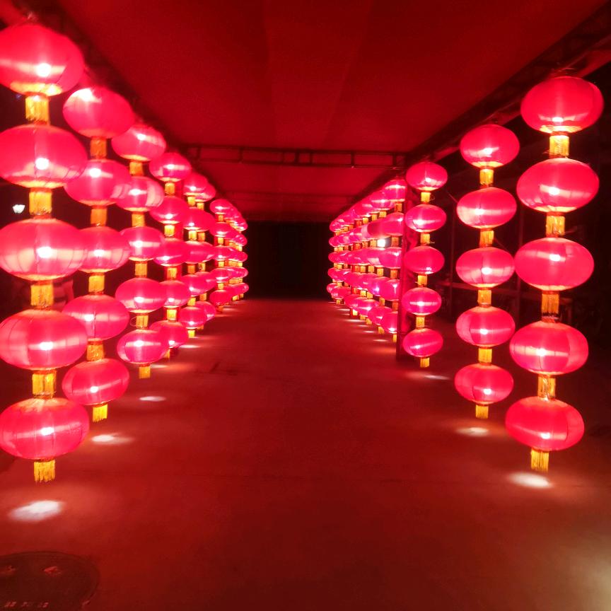 随性的自由