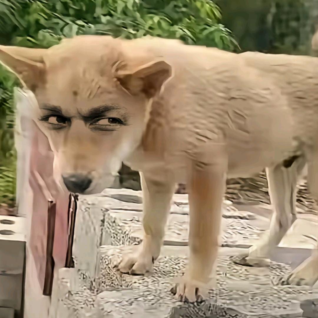 无人扶我青云吱