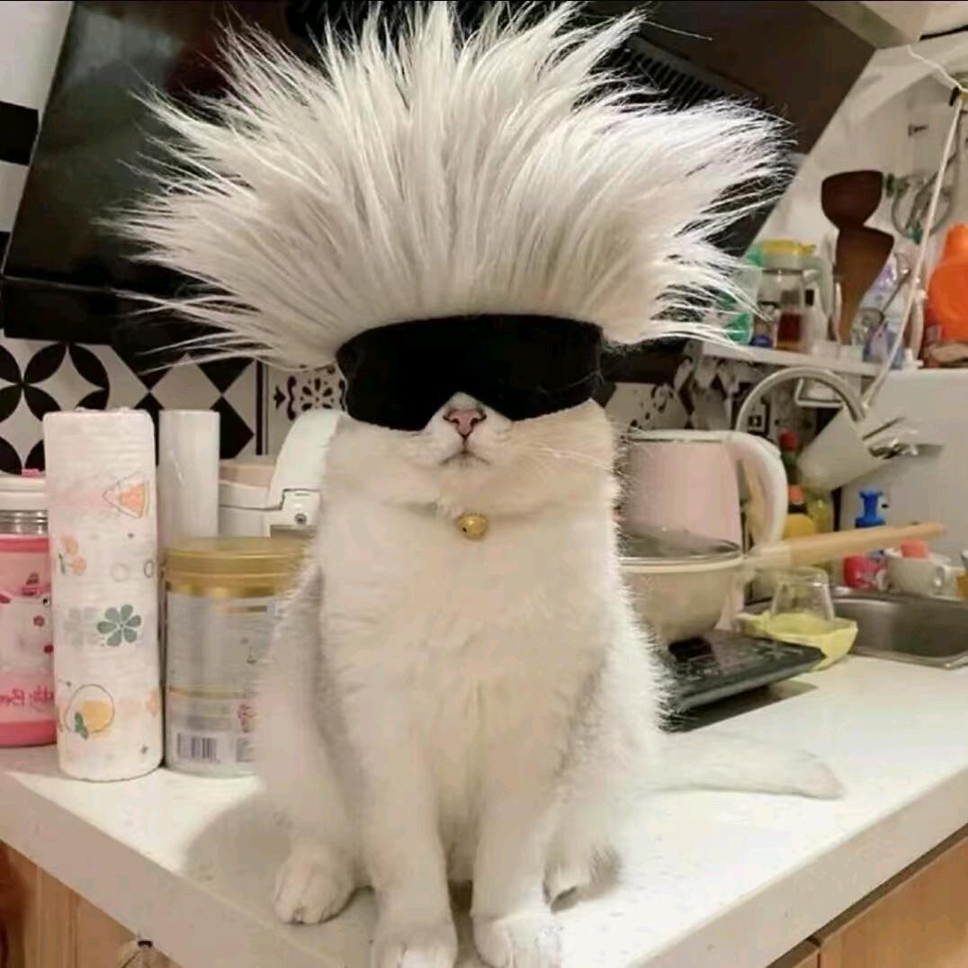 你猜啊