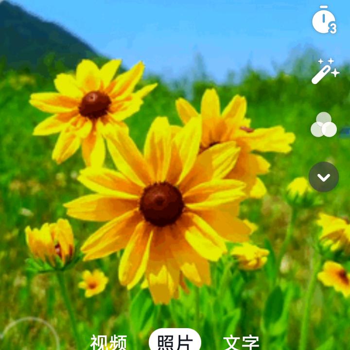 老玩童艺旺